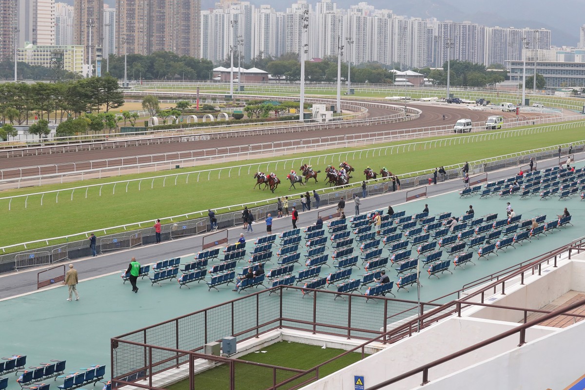 Horses race in front of largely empty stands at Sha Tin this season. Photos: Kenneth Chan