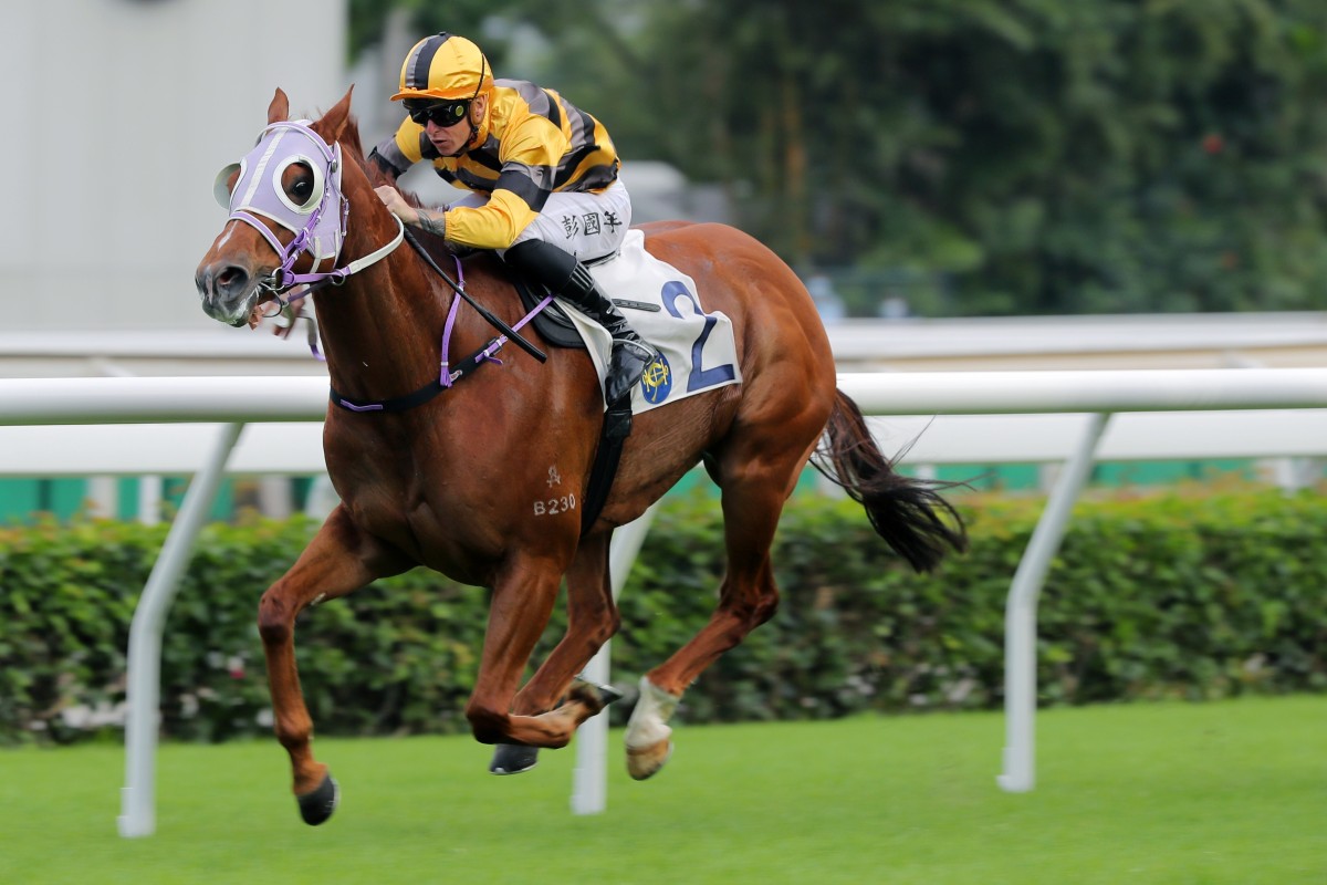 Team Spirit goes on to win under Tony Piccone at Sha Tin on Sunday. Photos: Kenneth Chan