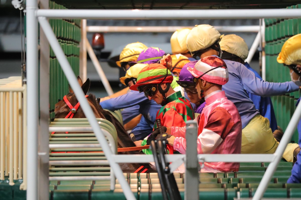 Jockeys in the starting gates. Photos: Kenneth Chan