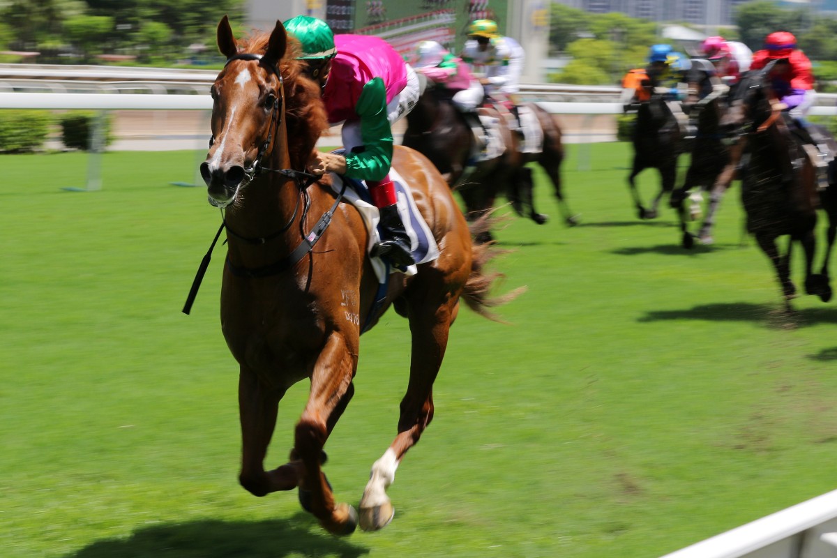 Joyful Fortune posts a dominant win on debut. Photos: Kenneth Chan