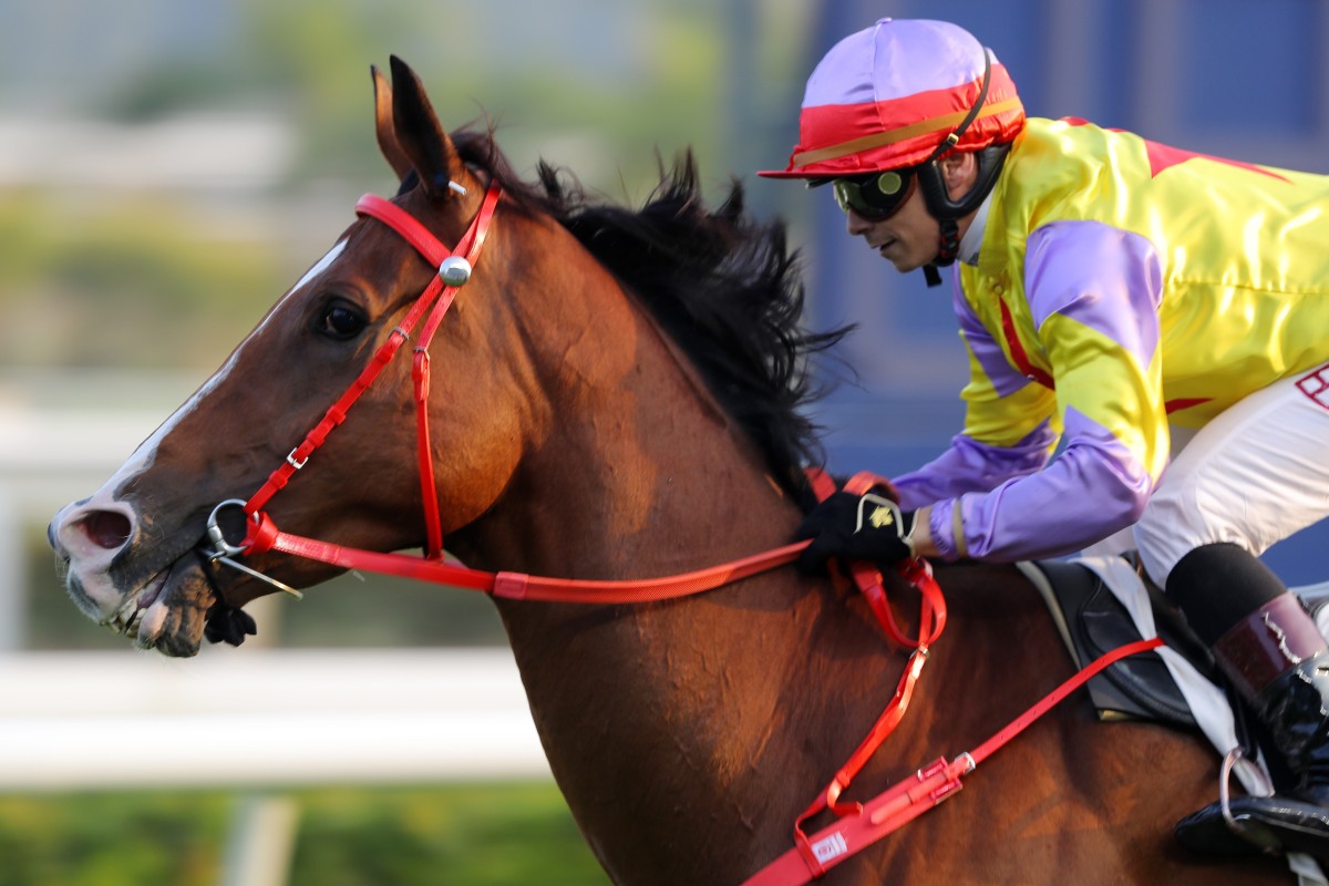 Alexis Badel salutes on Ping Hai Bravo at Sha Tin on Sunday. Photo: Kenneth Chan