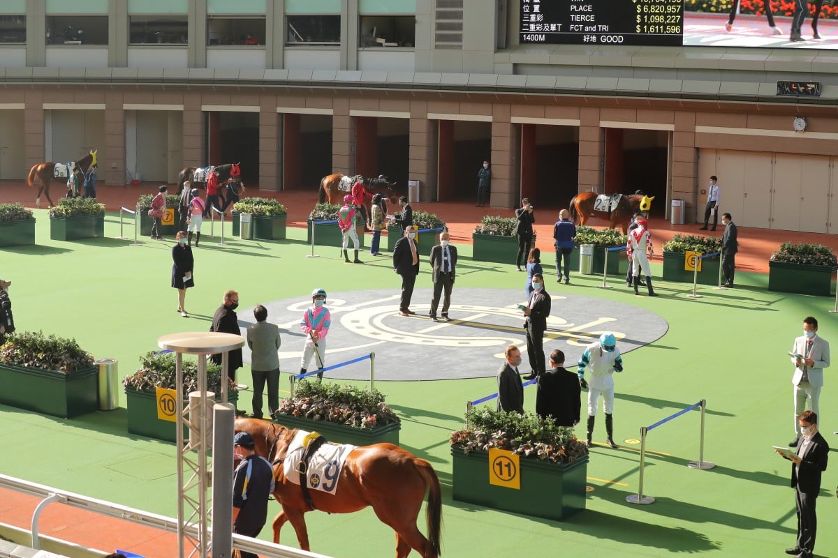 Horses parade in an empty Sha Tin paddock ahead of the races. Photos: Kenneth Chan