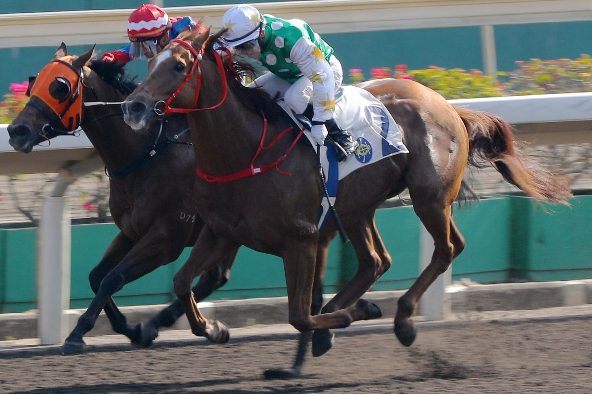 Alfred Chan lifts Golfman Star past Happy Tango at Sha Tin on Sunday. Photos: Kenneth Chan