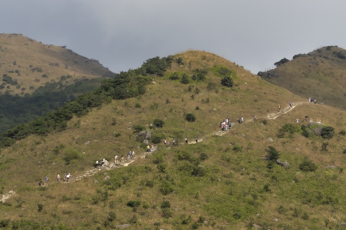 Green as far as you can see - or at least for a couple of hours until you reach a well deserved reward. Photo: SCMP/Martin Chan