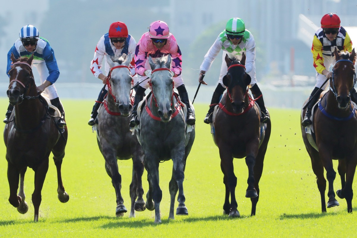 Hot King Prawn (pink silks) wins the Jockey Club Sprint last month. Photo: Kenneth Chan