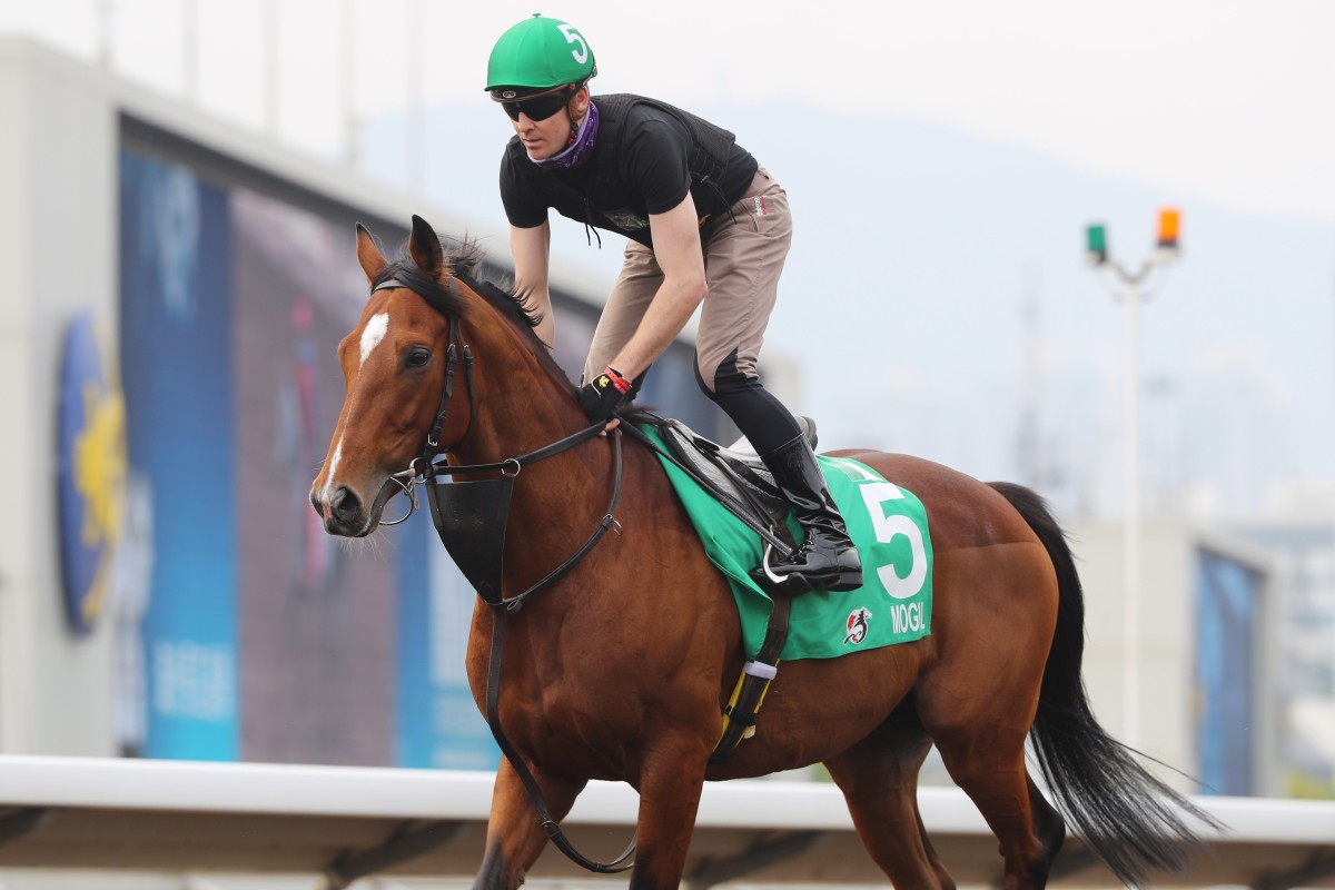 Emmet McNamara rides Mogul in work on Friday morning at Sha Tin. Photos: Kenneth Chan
