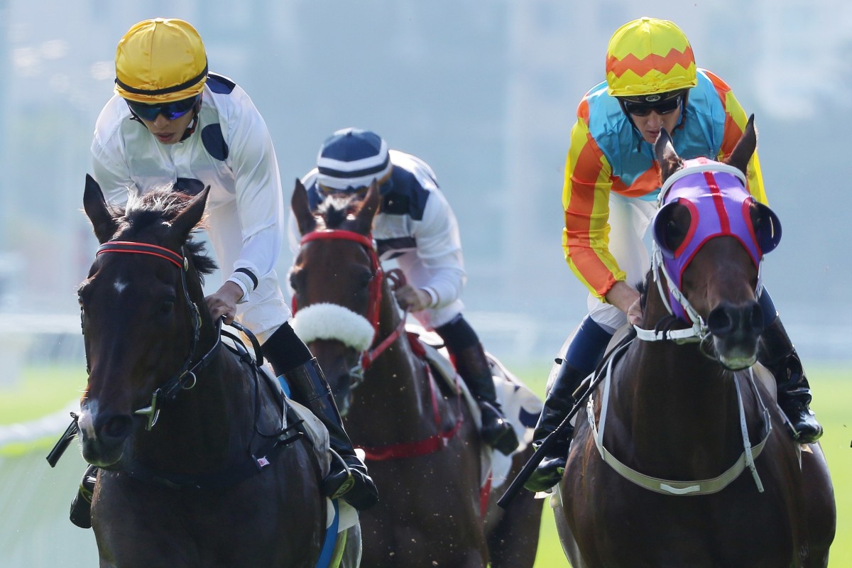 Golden Sixty wins the Group Two Jockey Club Mile at Sha Tin. Photos: Kenneth Chan
