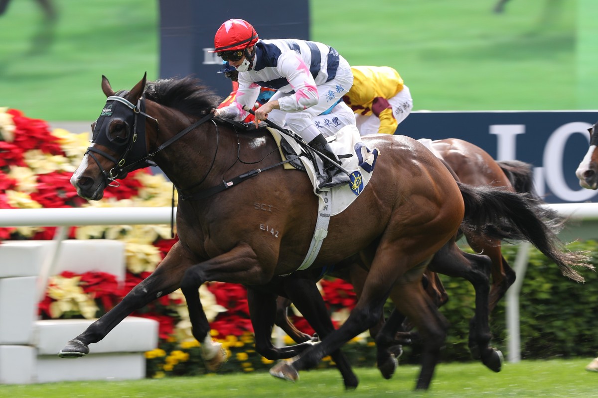 Master Montaro runs over the top of his rivals to win at Sha Tin on Sunday. Photos: Kenneth Chan
