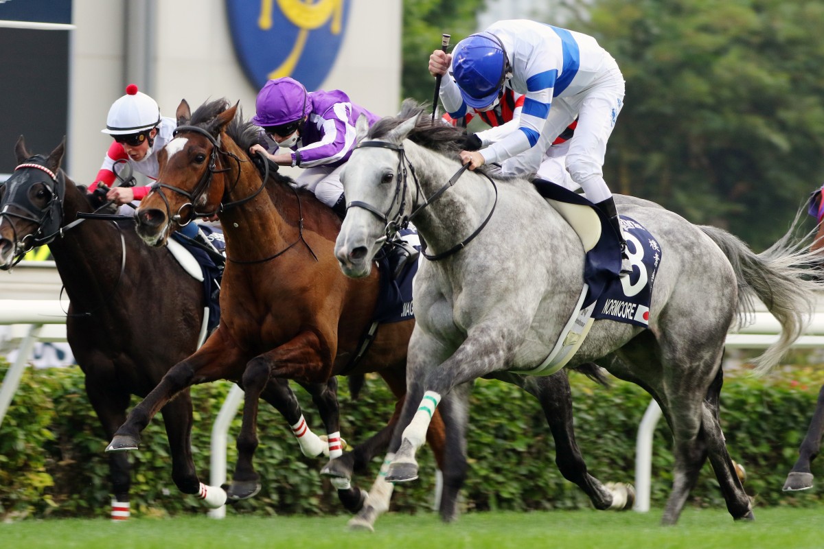 Normcore (right) wins the Hong Kong Cup under Zac Purton at Sha Tin on Sunday. Photos: Kenneth Chan