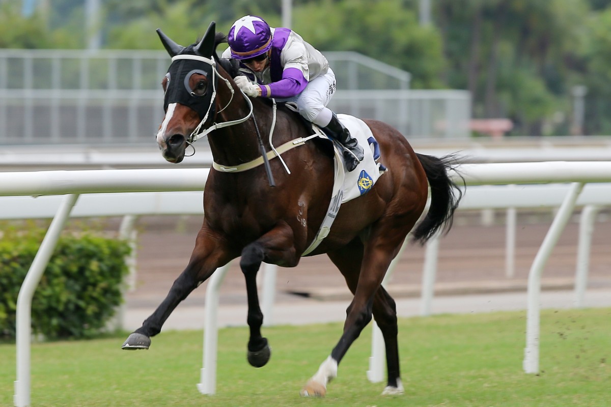 Matthew Chadwick boots home Buddies to victory earlier this season. Photos: Kenneth Chan