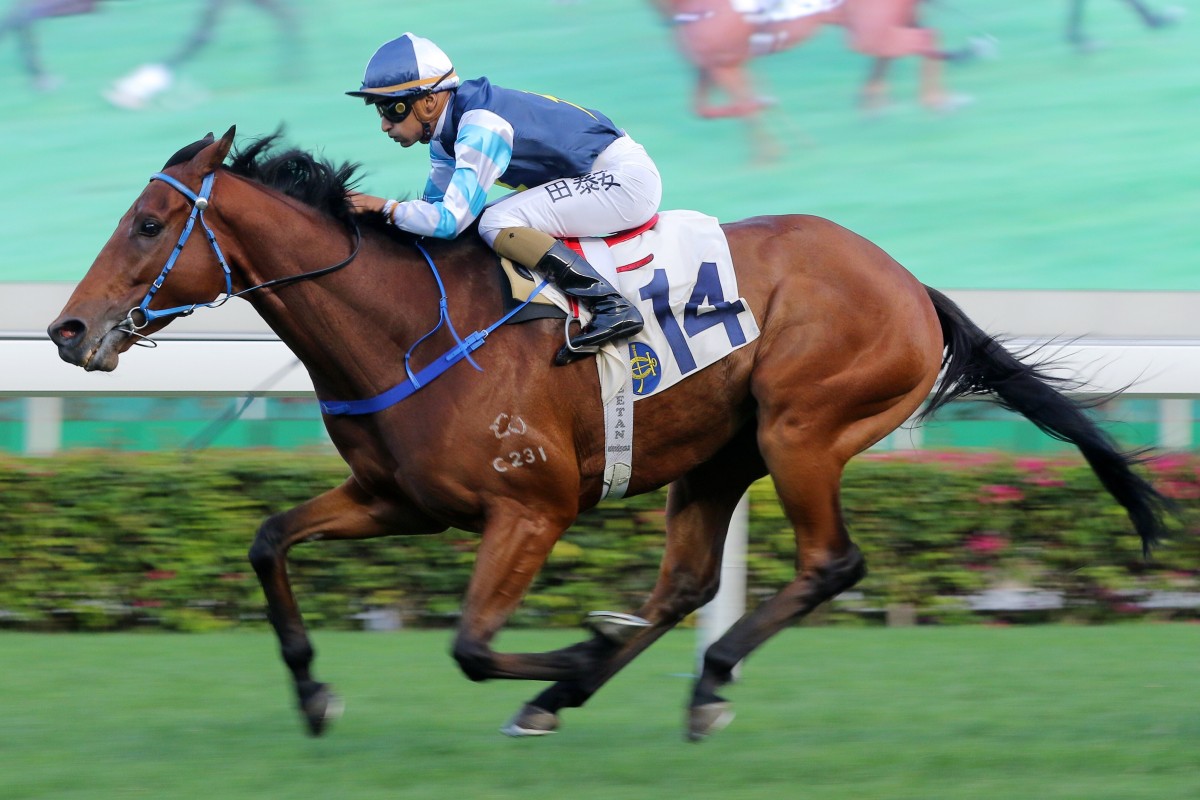 Ballistic King salutes at Sha Tin in April. Photos: Kenneth Chan