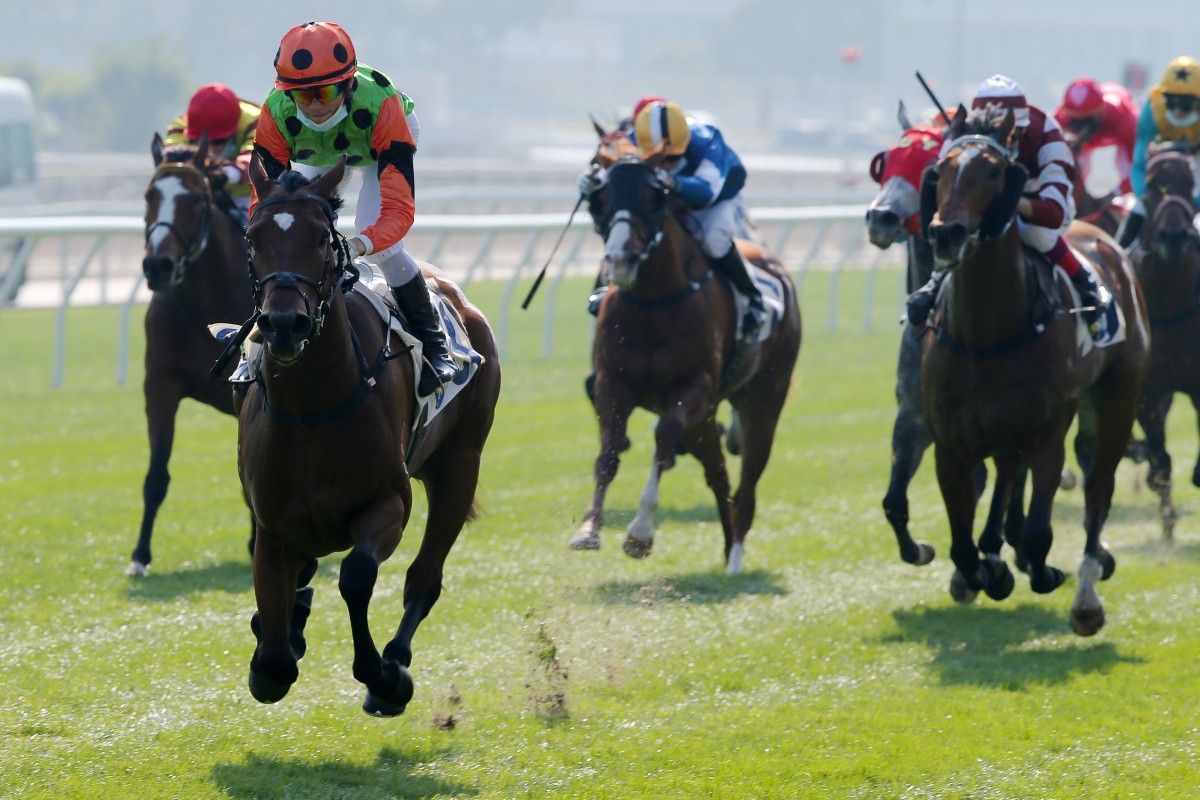 Jerry Chau guides Carroll Street to a debut victory down the Sha Tin straight on Sunday. Photos: Kenneth Chan