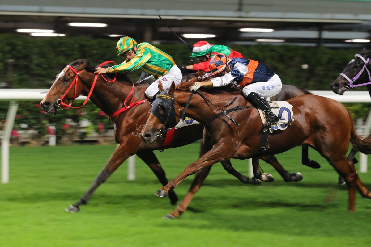 Virtus Star salutes at Happy Valley last month. Photos: Kenneth Chan