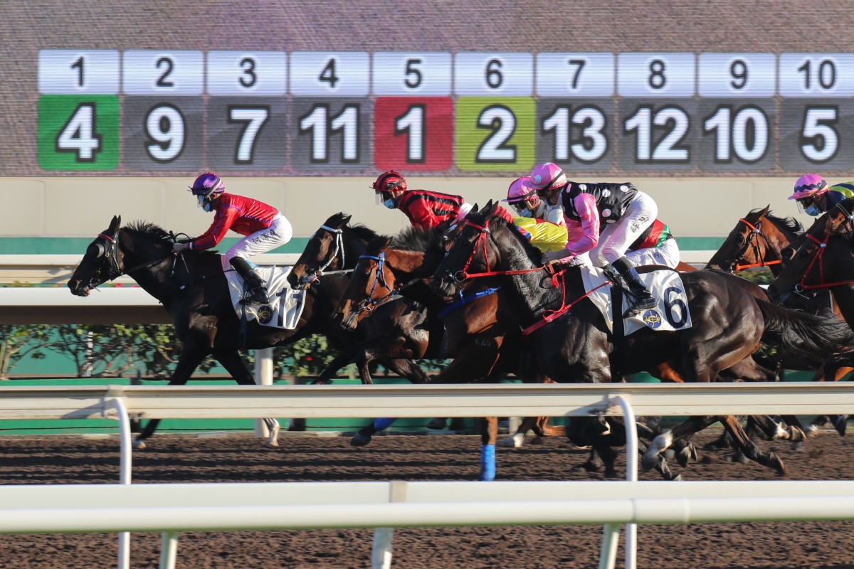Horses race at Sha Tin on Boxing Day. Photos: Kenneth Chan