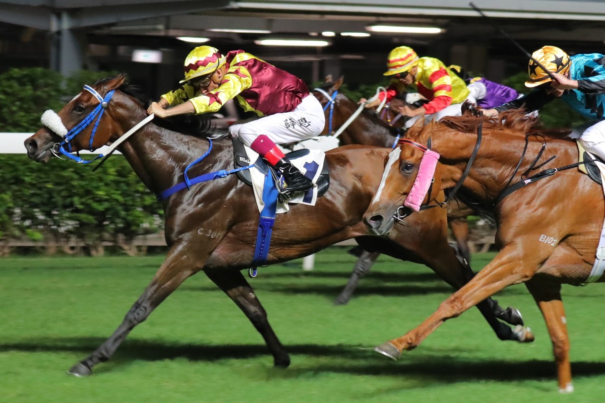 Bear Again salutes at Happy Valley during the final meeting of last season. Photos: Kenneth Chan