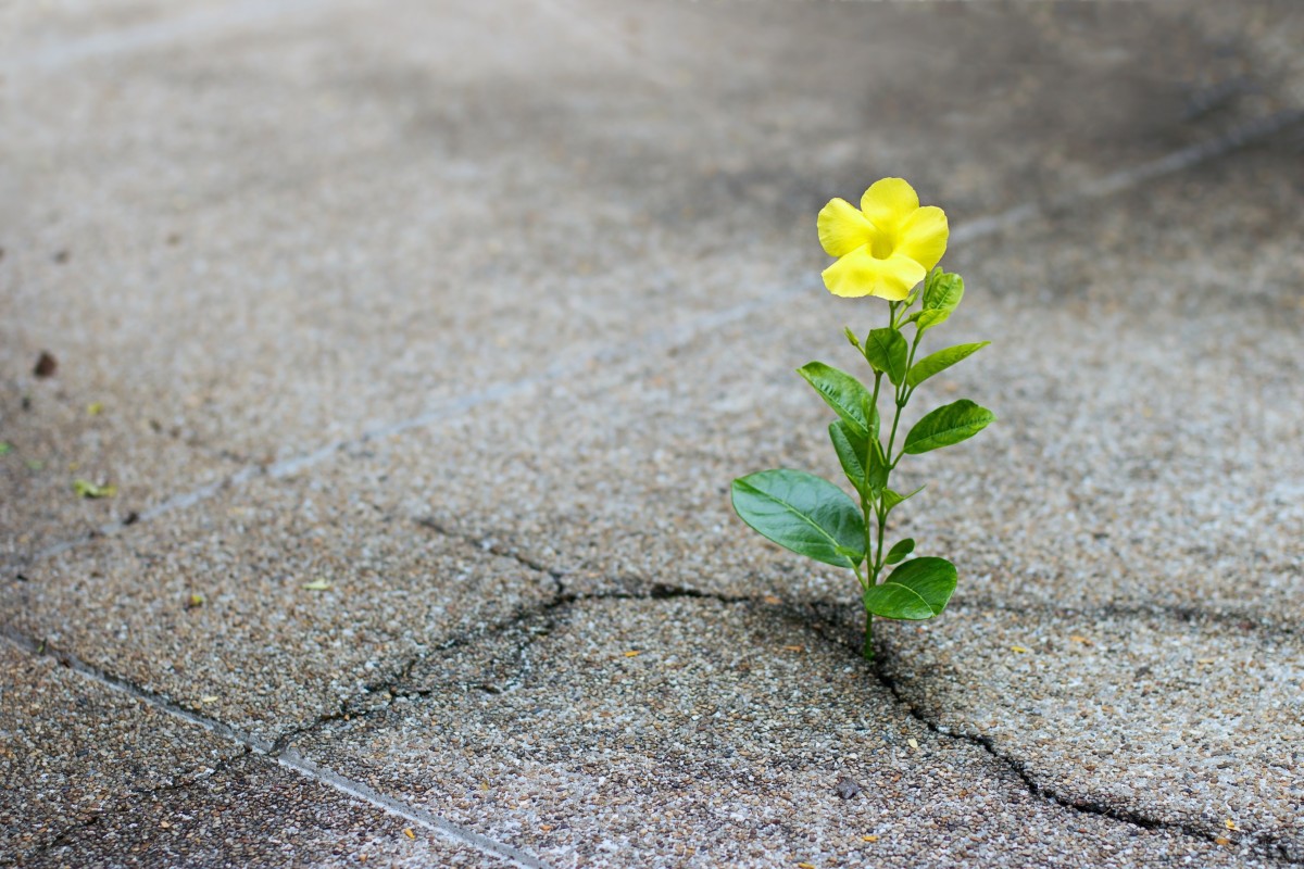 What are your hopes for the new year?