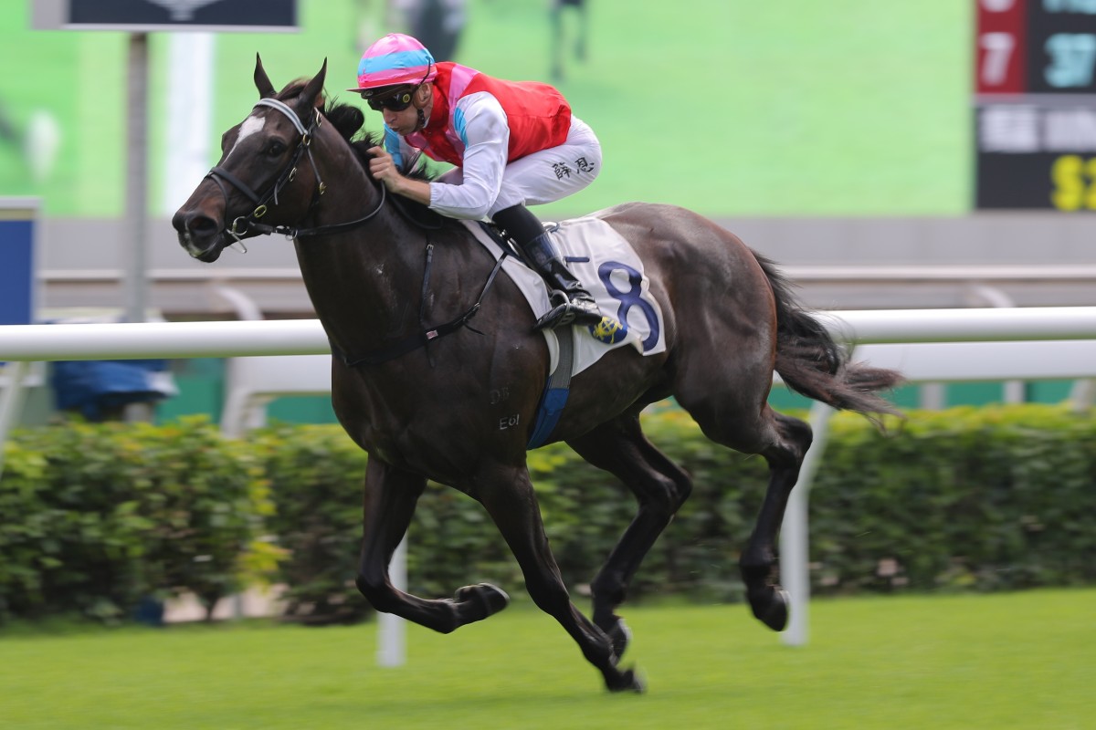 Blake Shinn salutes aboard Harmony N Blessed in November. Photos: Kenneth Chan