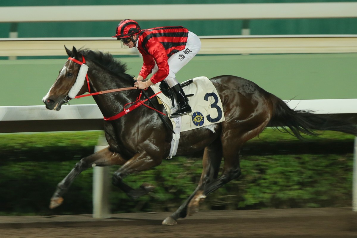 Kings Shield wins easily on the Sha Tin all-weather surface earlier in the season. Photos: Kenneth Chan