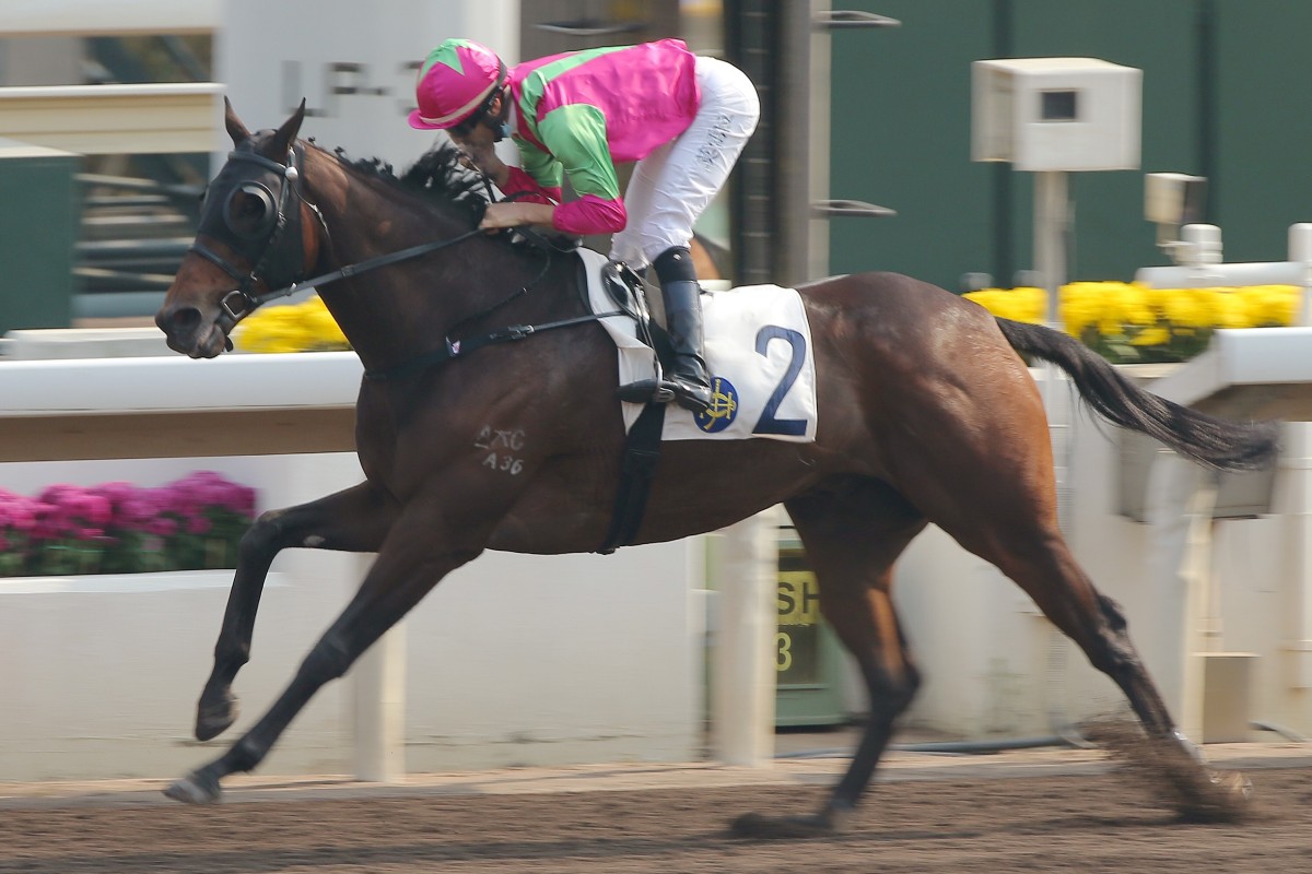Joao Moreira steers Elusive State to victory at Sha Tin on Sunday. Photos: Kenneth Chan