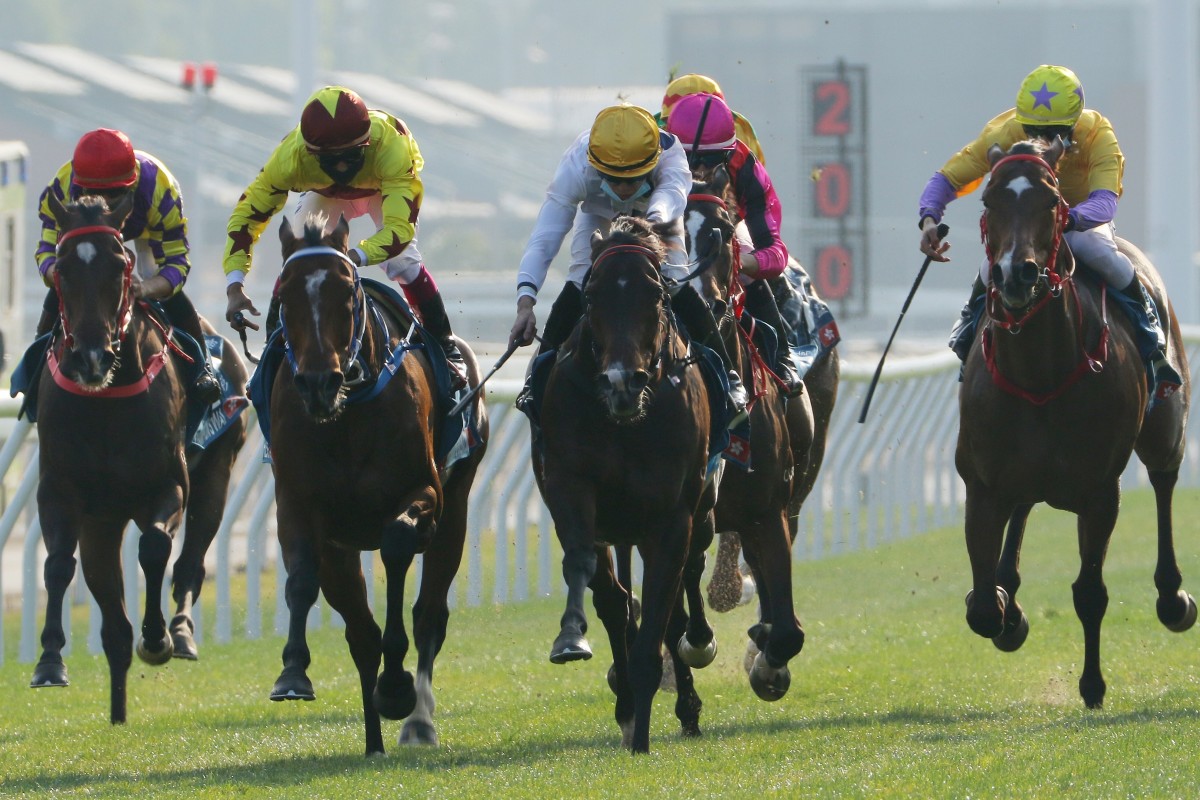 Golden Sixty (yellow cap and white silks) edges out Southern Legend (yellow and maroon silks) to take out the Group One Stewards’ Cup at Sha Tin on Sunday. Photos: Kenneth Chan