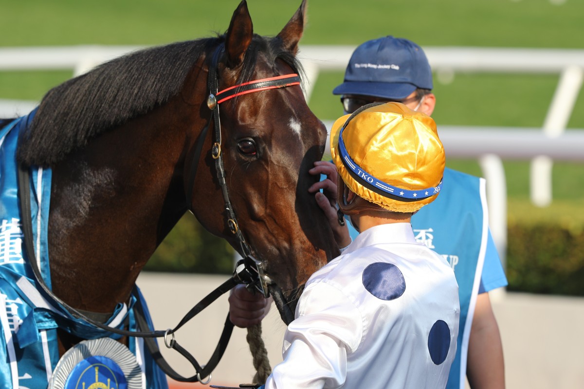 Vincent Ho gives Golden Sixty a pat after winning the Group One Stewards’ Cup. Photos: Kenneth Chan