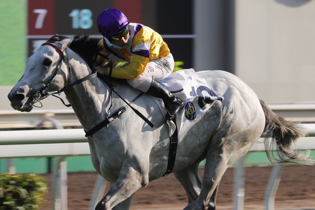 Matthew Poon guides Glorious Dragon to victory at Sha Tin on Sunday. Photos: Kenneth Chan
