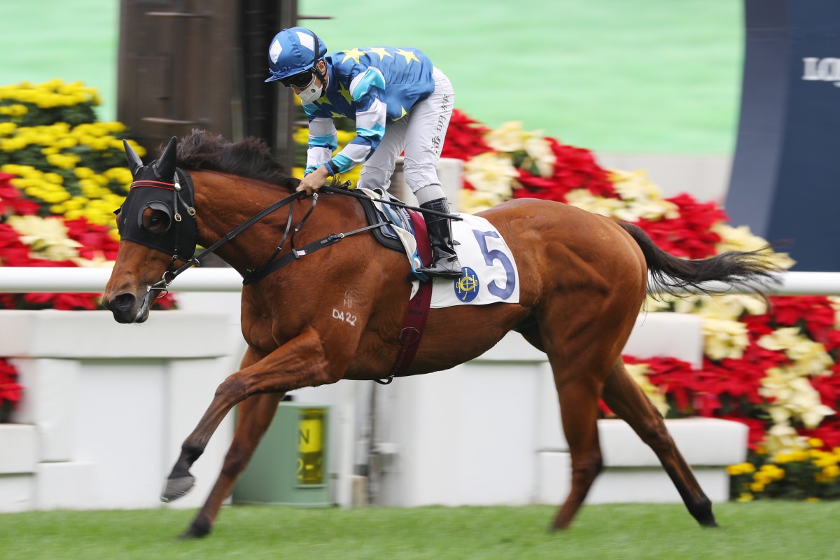 Matthew Poon wins aboard Lucky Patch on December 13. Photos: Kenneth Chan