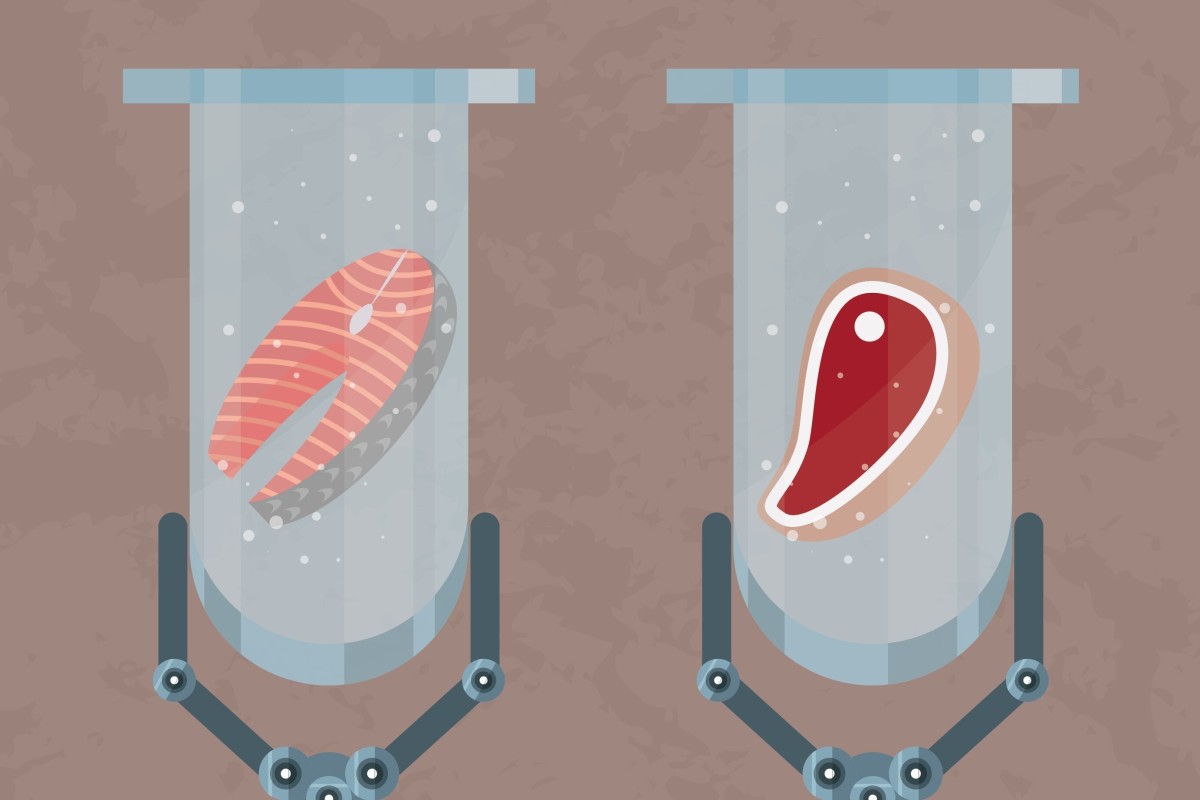 Lab-grown meat can help the world keep up with increasing demand for beef, chicken and seafood while also helping the environment.