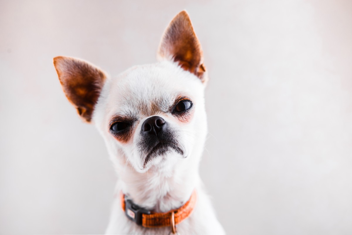 What's a surefire way to make you angry?