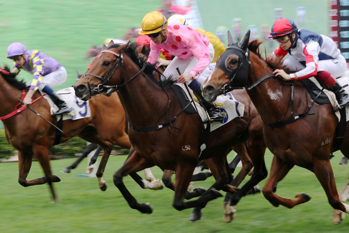 Vincent Ho guides Preciousship to victory last season. Photos: Kenneth Chan