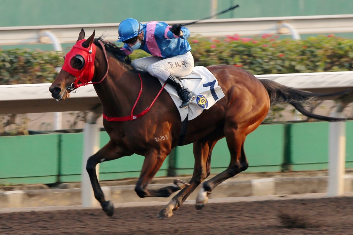 Antoine Hamelin pilots Hongkong Great to victory at Sha Tin last start. Photo: Kenneth Chan