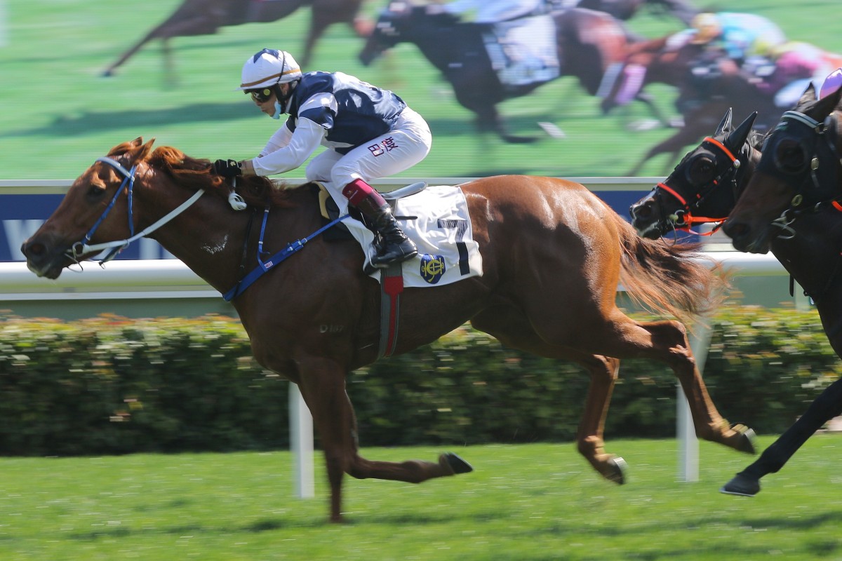 The Rock delivers at Sha Tin on Saturday. Photos: Kenneth Chan