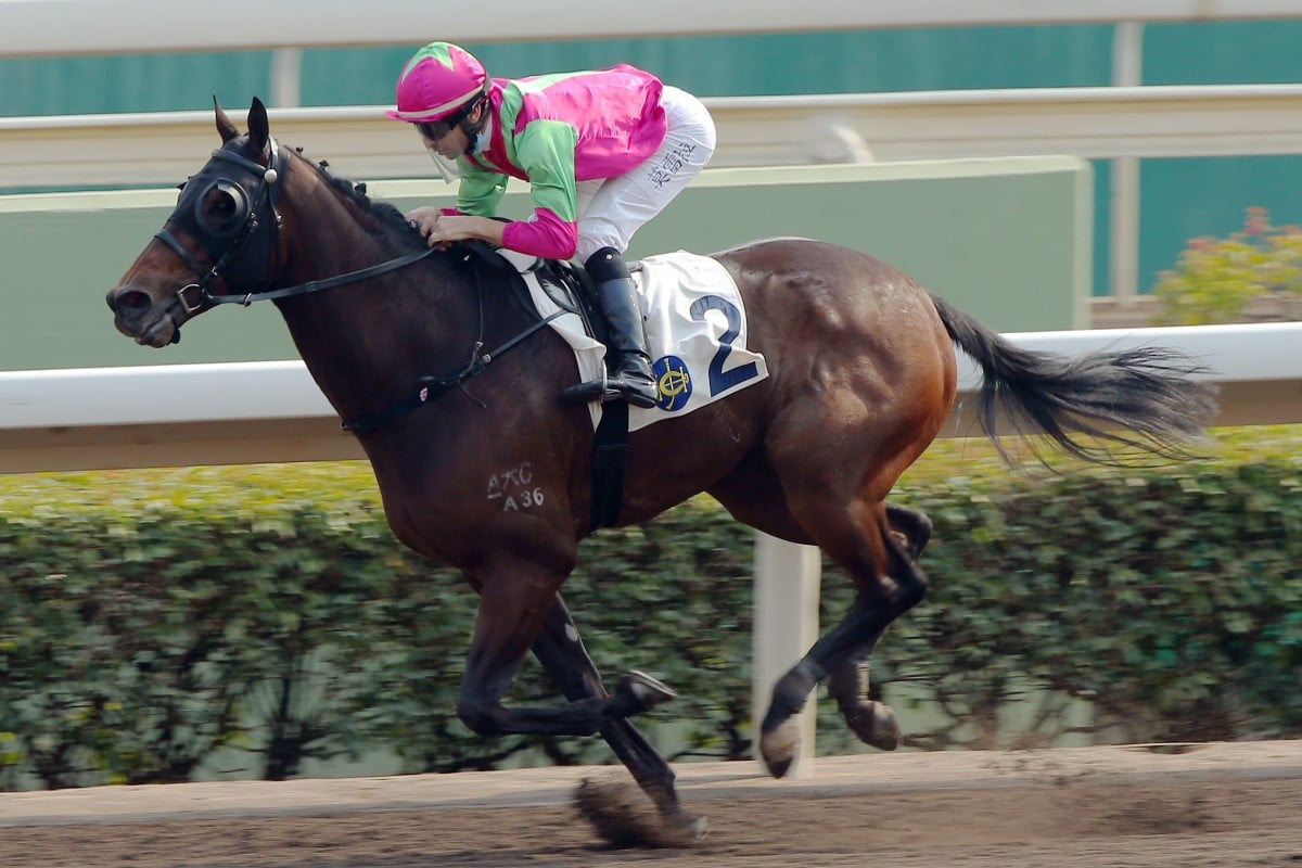 Elusive State coasts to victory on the Sha Tin all-weather track last month. Photos: Kenneth Chan