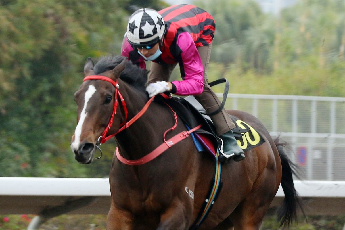 Joao Moreira trials Waikuku at Sha Tin on Tuesday morning. Photos: Kenneth Chan