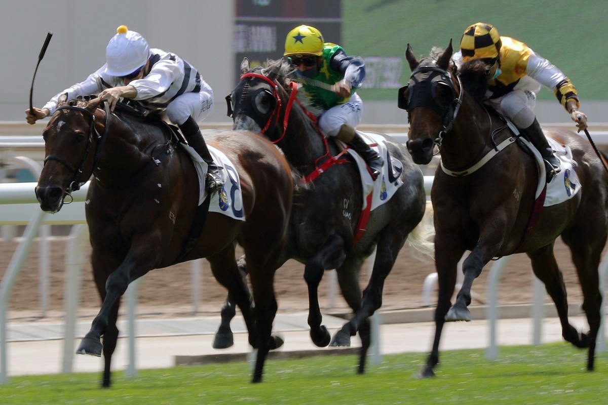 Joao Moreira urges Panfield home at Sha Tin on Sunday. Photo: Kenneth Chan