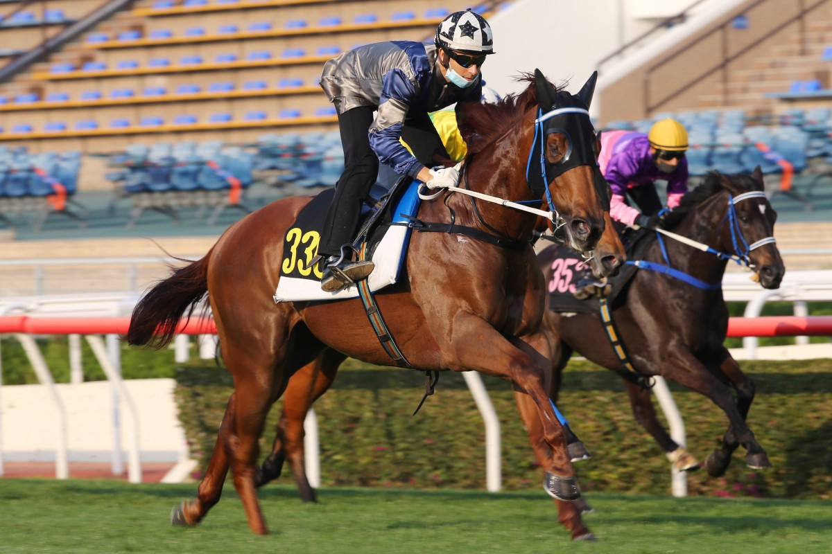 Joao Moreira guides Aethero to victory in a barrier trial on Tuesday morning. Photos: Kenneth Chan