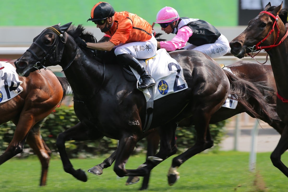 Simply Spectacular storms to victory at Sha Tin on Sunday. Photos: Kenneth Chan