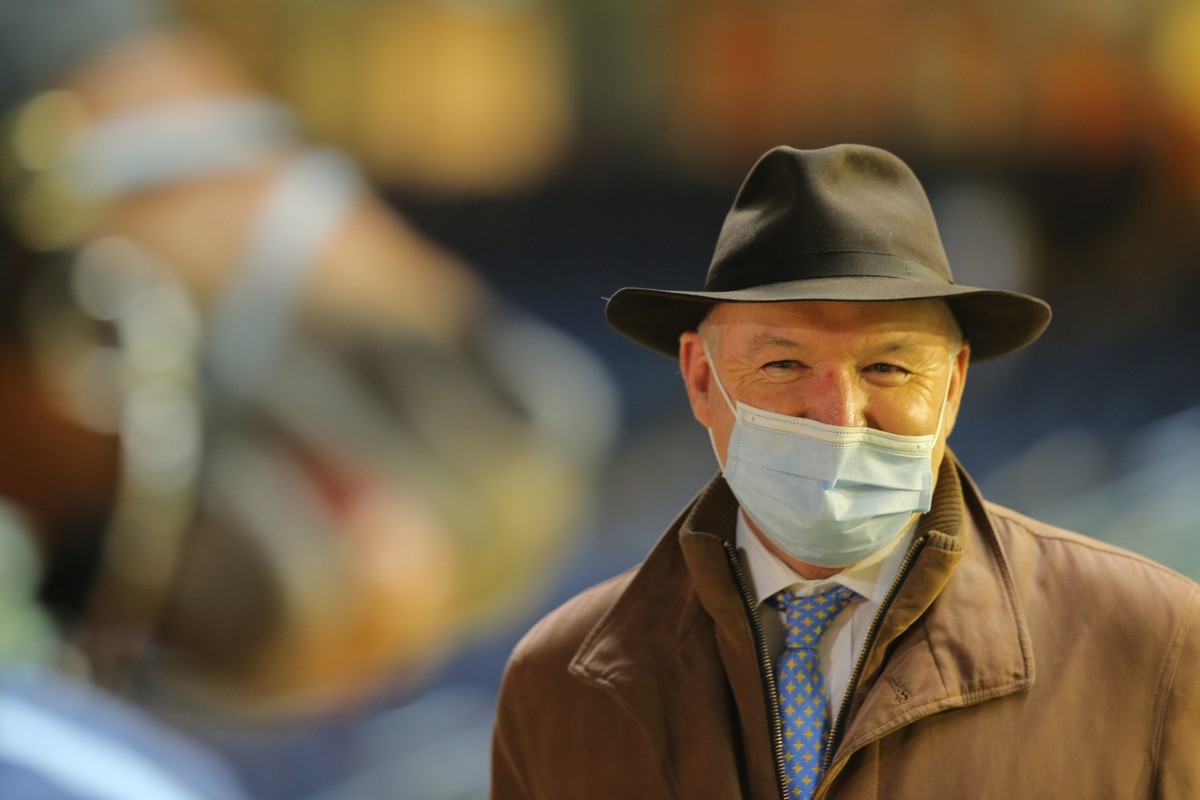 David Hayes looks over one of his winners at Happy Valley this season. Photos: Kenneth Chan