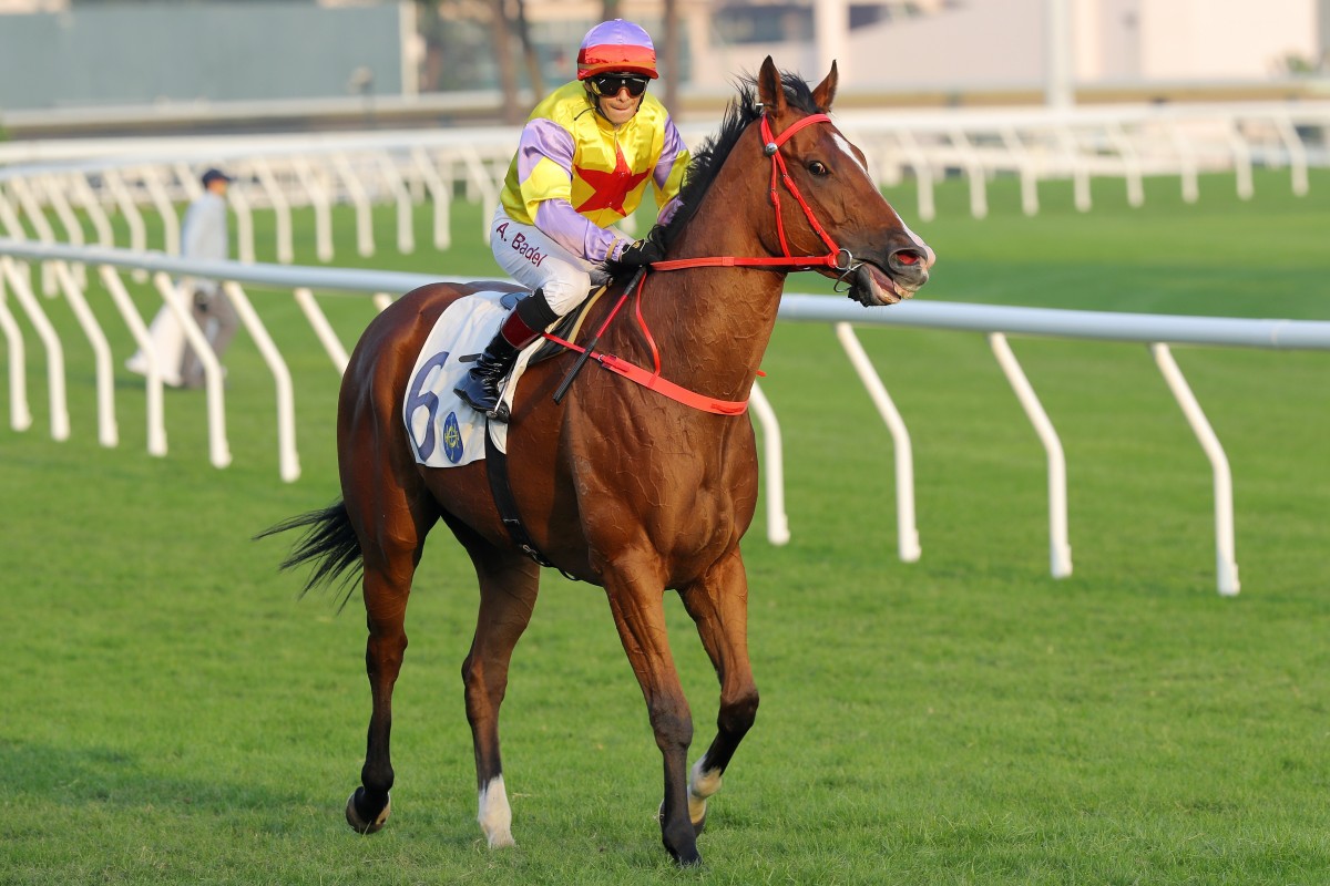 Ping Hai Bravo returns after winning at Sha Tin this season. Photos: Kenneth Chan