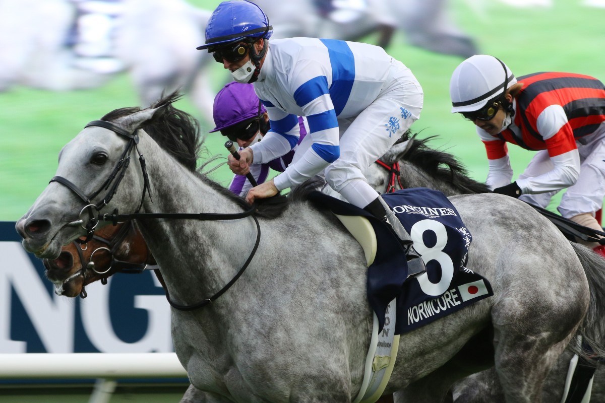 Japanese raider Normcore wins the Hong Kong Cup in December. Photos: Kenneth Chan