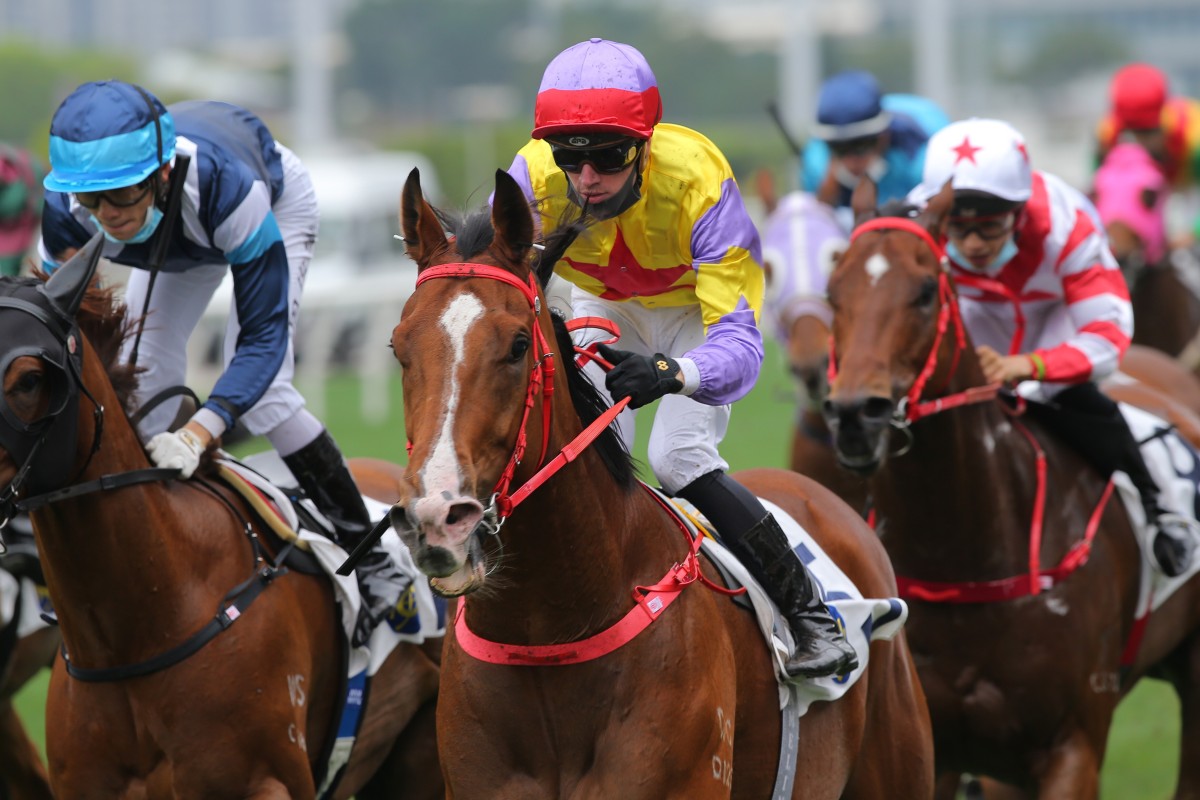 Antoine Hamelin lifts Ping Hai Bravo to victory at Sha Tin on Sunday. Photos: Kenneth Chan