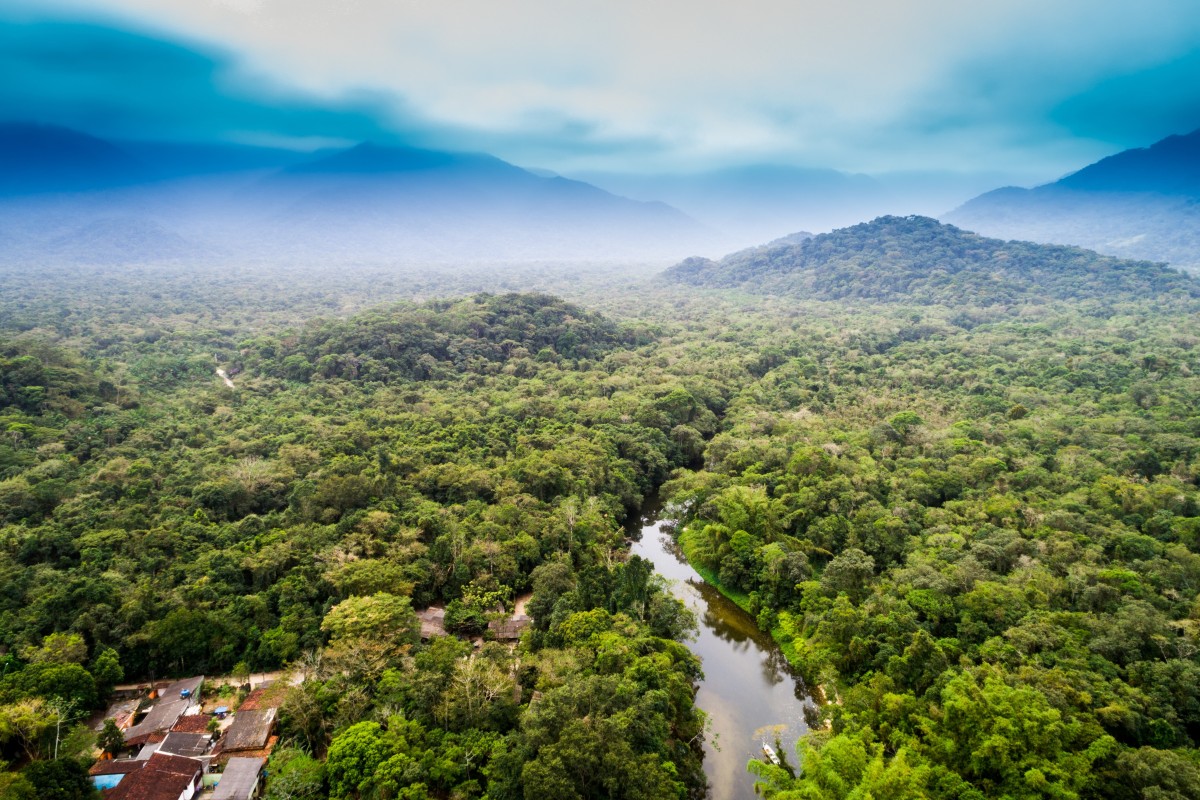 The  rainforest: The world's most important ecosystem – The  Rainforest Foundation