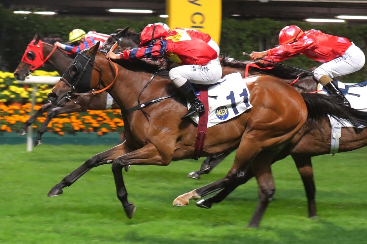 Matthew Poon drives Travel Datuk over the line at Happy Valley on Wednesday night. Photos: Kenneth Chan