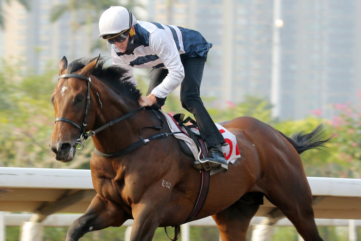 Chad Schofield trials Panfield at Sha Tin on Friday morning. Photos: Kenneth Chan