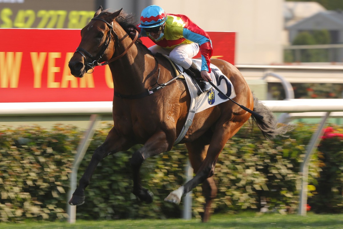 Wellington dashes clear to win in Class Two last start. Photos: Kenneth Chan