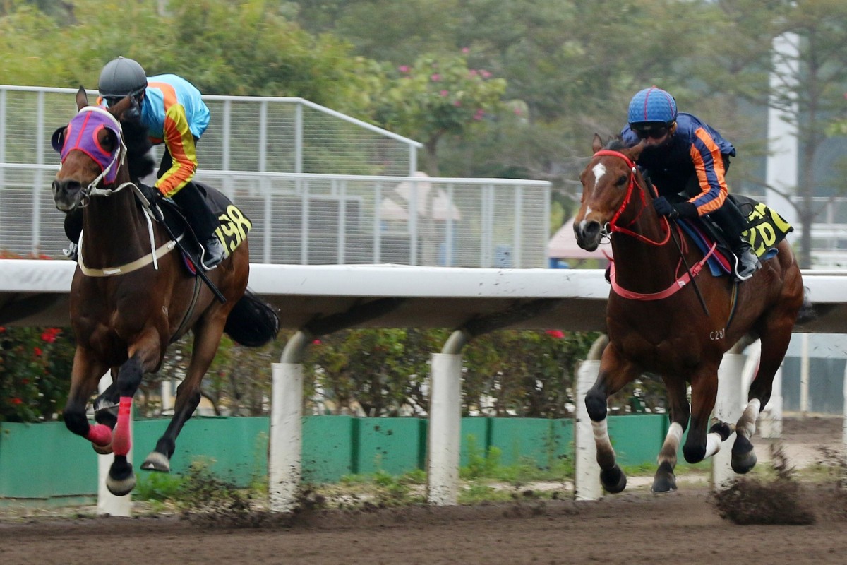 Zac Purton guides Ka Ying Star home in a barrier trial last month. Photos: Kenneth Chan