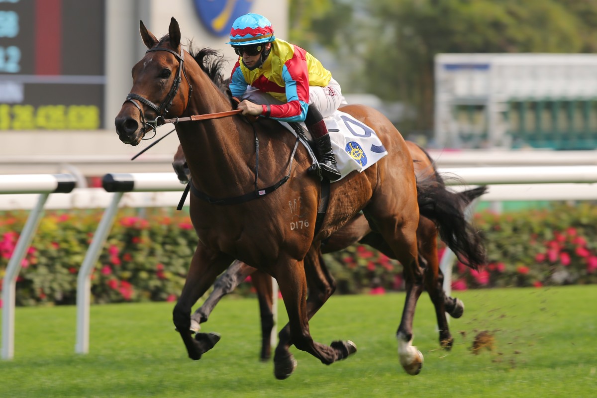 Wellington coasts to victory at Sha Tin on Saturday. Photos: Kenneth Chan