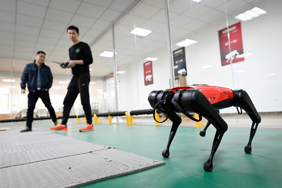It's fast, obeys commands and doesn't leave unpleasant surprises on the floor - meet the AlphaDog! Photo: AFP