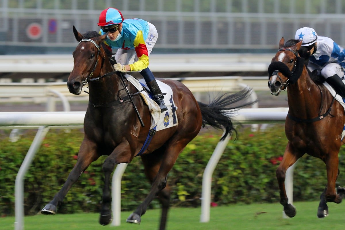 Chad Schofield sits quietly while Fantastic Treasure coasts to victory at Sha Tin on Sunday. Photos: Kenneth Chan