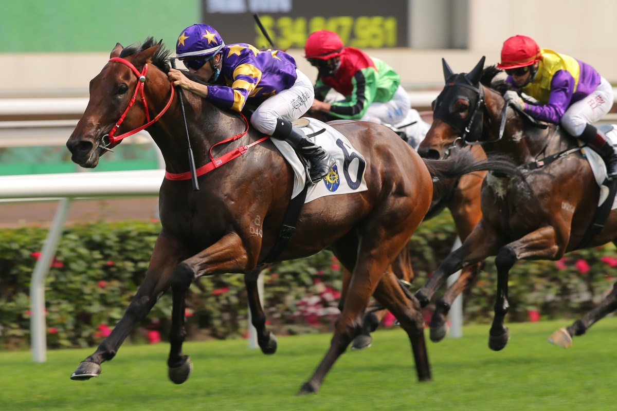 Joao Moreira guides Gallant Express to victory at Sha Tin in March. Photos: Kenneth Chan